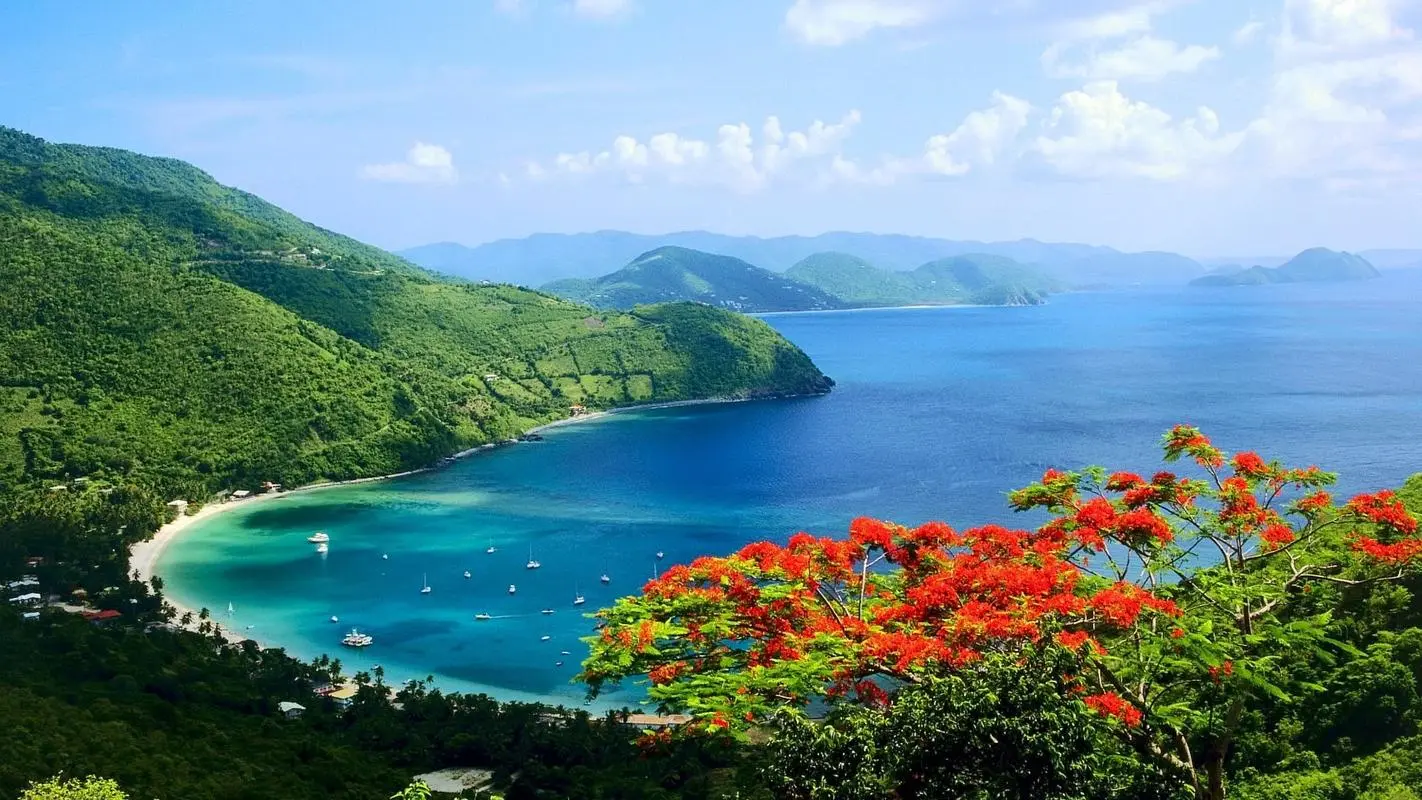 高精度高效